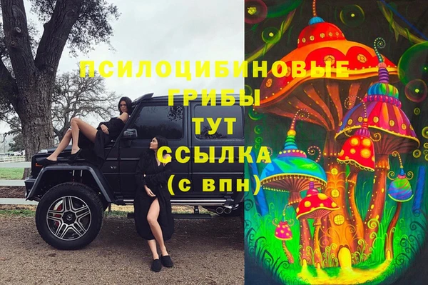 наркотики Заводоуковск