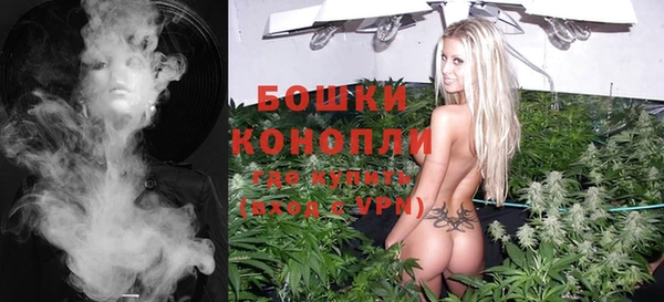 дживик Липки