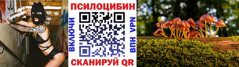 Псилоцибиновые грибы Psilocybe  Спас-Деменск 